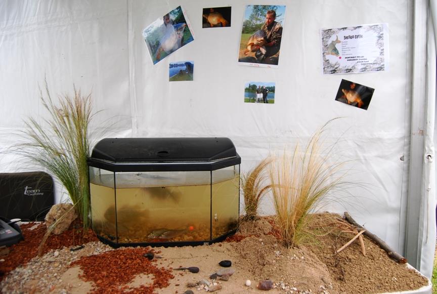 Interesant III :) - aquarium-stand-carpe-choisy.jpg